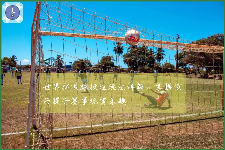 世界杯滚球投注玩法详解，掌握技巧提升赛事观赏乐趣