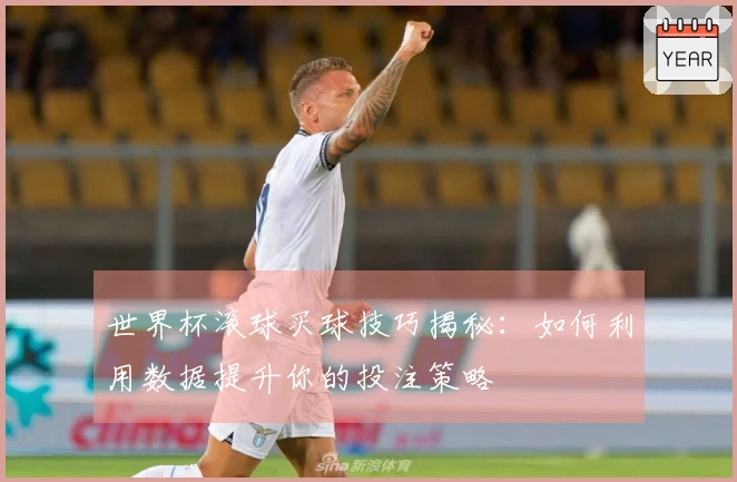 世界杯滚球买球技巧揭秘：如何利用数据提升你的投注策略