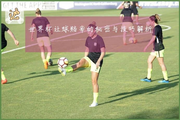 世界杯让球赔率的秘密与技巧解析