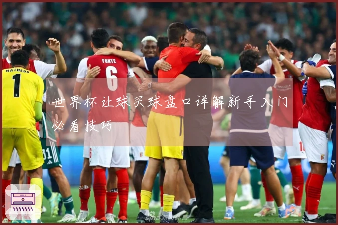 世界杯让球买球盘口详解新手入门必看技巧