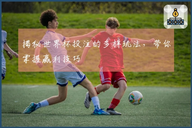 揭秘世界杯投注的多样玩法，带你掌握赢利技巧