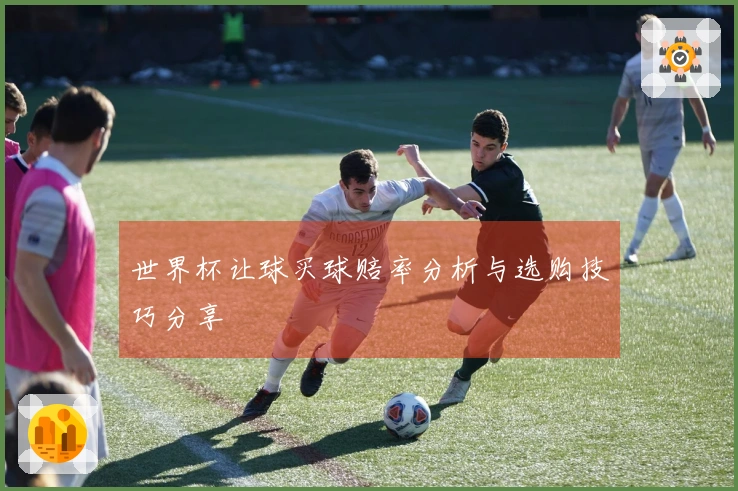 世界杯让球买球赔率分析与选购技巧分享