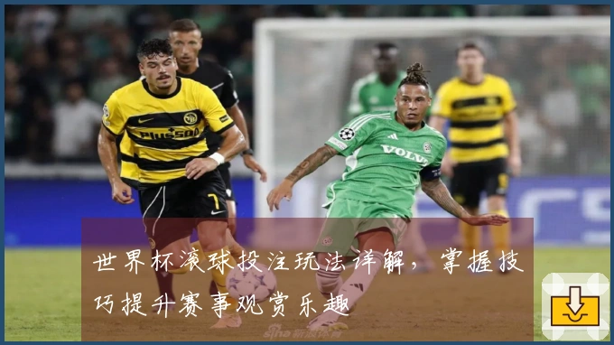 世界杯滚球投注玩法详解，掌握技巧提升赛事观赏乐趣