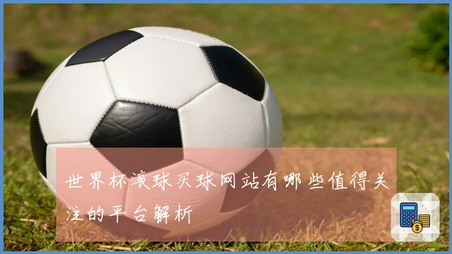 世界杯滚球买球网站有哪些值得关注的平台解析